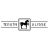 Cantina Tenuta Ulisse